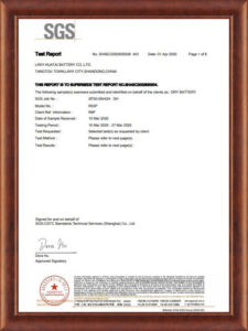 RoHS R03P,R6P Certificate